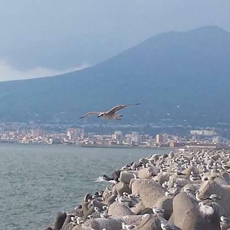 Casa Vacanza Nonna Antonietta Castellammare di Stabia Dış mekan fotoğraf